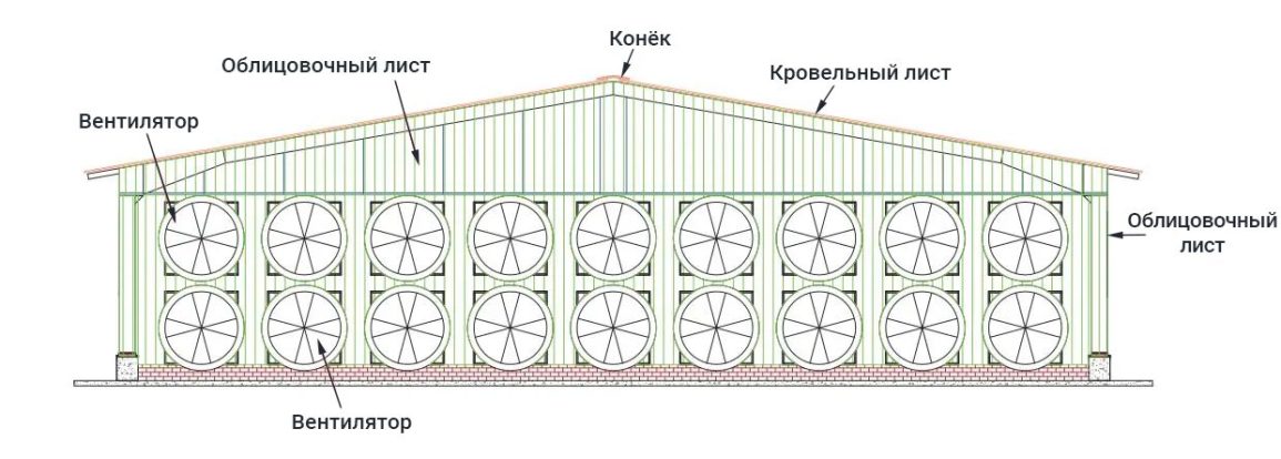 Схема птичник