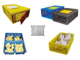 Транспортировка птицы: ящики для суточных цыплят, взрослой птицы, ящики для мяса