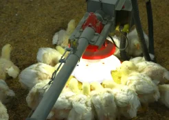 Контрольная кормушка